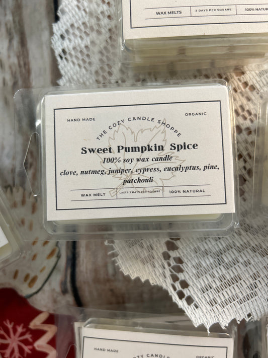 Sweet Pumpkin Spice Clamshell Wax Melt